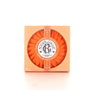 Roger & Gallet Œillet Mignardise Savon Bien-être 100 g