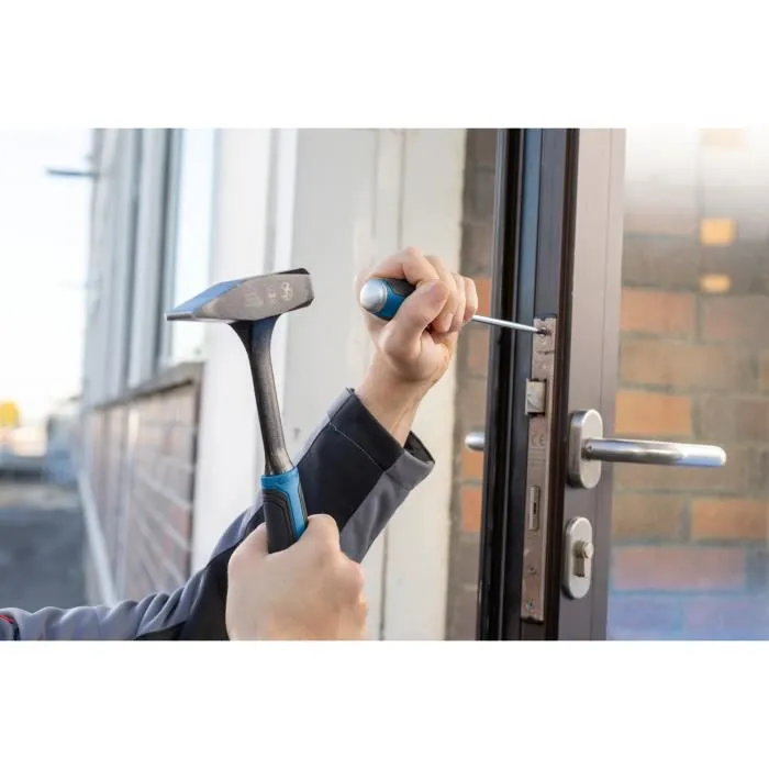 Bosch Professional - Set de 6 Tournevis Torx avec Embouts de Précision et Poignée Softgrip Ergonomique