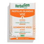 HERBALGEM Pastilles molles BIO pour la voix