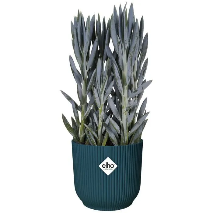 Elho Vibes Round Pot de Fleurs - Plastique Bleu Foncé - Diamètre 22 cm, Hauteur 20,16 cm - ELHO Elho Vibes Round Pot de Fleurs - Plastique Bleu Foncé - Diamètre 22 cm, Hauteur 20,16 cm - ELHO
