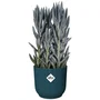 Elho Vibes Round Pot de Fleurs - Plastique Bleu Foncé - Diamètre 22 cm, Hauteur 20,16 cm - ELHO