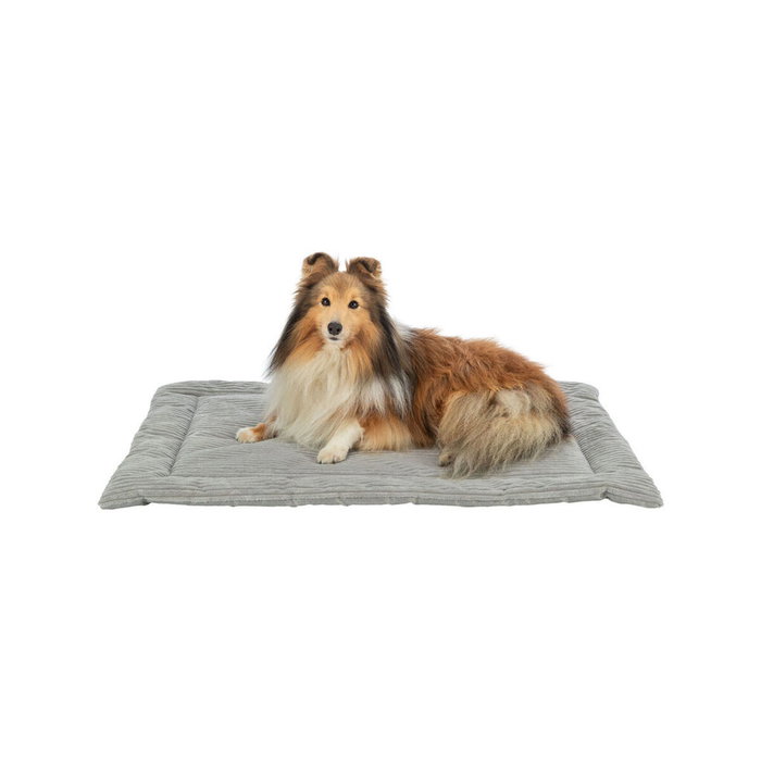 Matelas Trixie Jonna Gris 90 × 65 CM