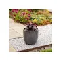 Strata Pot de Fleurs STRATA L Rond Amalfi Ø 42.5 cm x H 40 cm - Étain - Décoration Extérieure Moderne