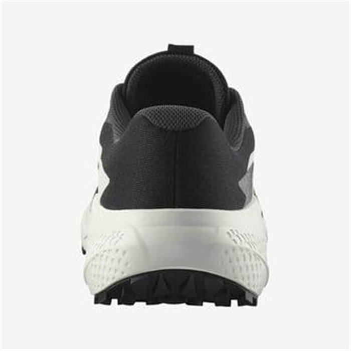 Chaussures de trail pour homme (course en montagne) Salomon Alphaglide Noir M