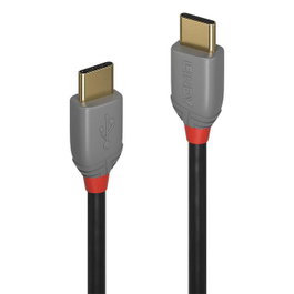 Lindy Câble USB 2.0 Type C vers C 2m Anthra Line 60W Noir
