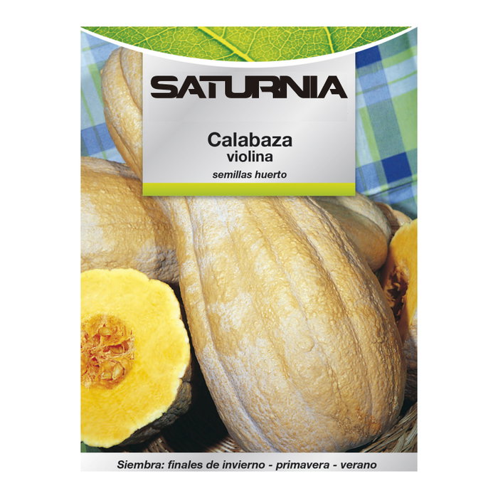SATURNIA Semillas Huerto Calabaza Violina SATURNIA Semillas Huerto Calabaza Violina