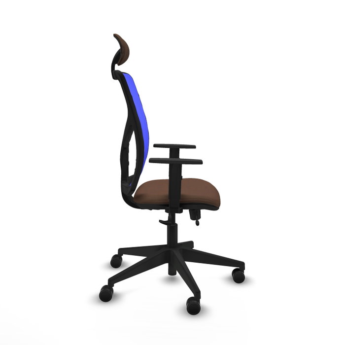 Piqueras Y Crespo Chaise de bureau Motilla avec mécanisme Sincro/Traslack, assise marron et dossier bleu