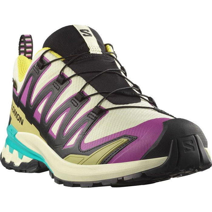Chaussures de trail pour homme (course en montagne) Salomon Xa Pro 3D V9 Gtx Marron Clair XL