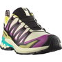 Chaussures de trail pour homme (course en montagne) Salomon Xa Pro 3D V9 Gtx Marron Clair XL