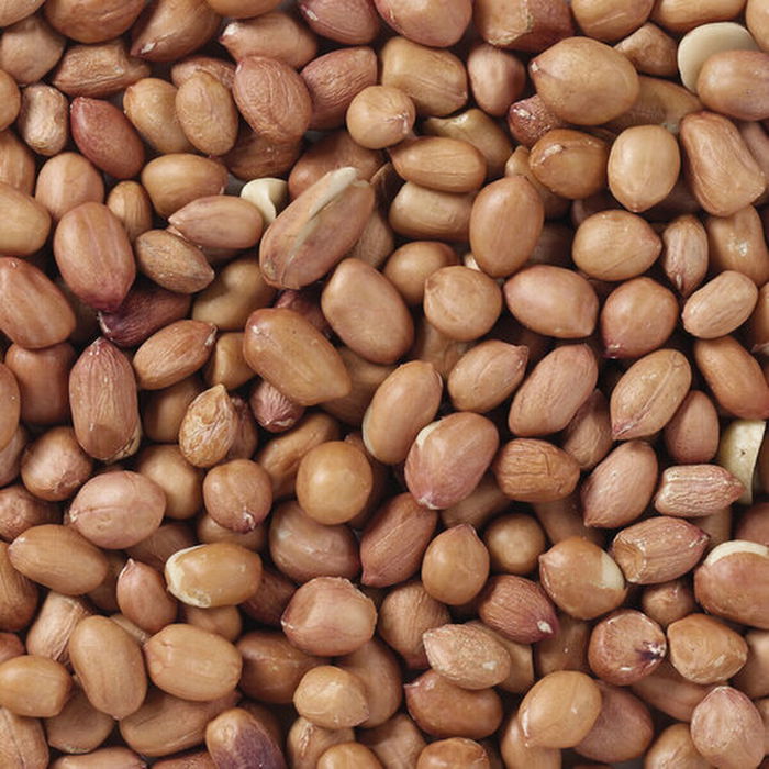 Nourriture pour oiseaux Deli Nature Premium 1 kg