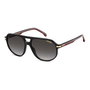 Lunettes de soleil Homme Carrera CARRERA 375_S