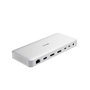 Hub USB D-Link DUF-901/E Gris 100 W