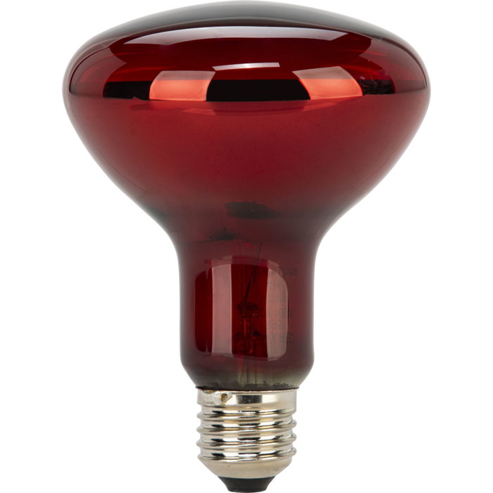 Beurer Lampe de rechange pour lumière rouge et infrarouge Beurer Lampe de rechange pour lumière rouge et infrarouge