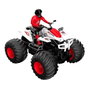 Tachan Quad RC Tout-Terrain 1:16 avec Fumée 20 km/h Multilingue +3 Ans