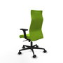 Piqueras Y Crespo Fauteuil Exécutif Albacete, Similicuir Pistache, Mécanisme Synchro