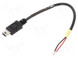 DELOCK Câble USB 2.0 vers USB B mini prise, 100mm, noir