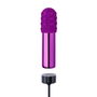 Mini Vibromasseur Le Wand Bullet Violet