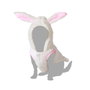BigBuy Pets Déguisement pour Chien Lapin Taille M