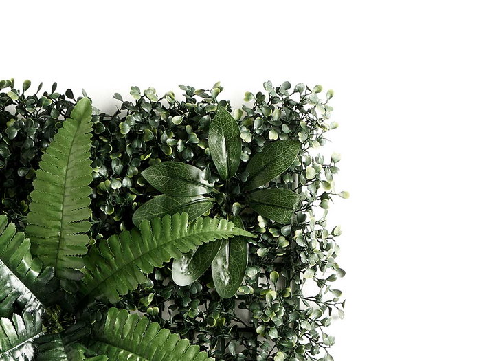 Ibergarden Jardin Vertical Feuille Fougère 50x50 cm Plastique Vert et Blanc (Set de 10)