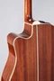 Takamine P4DC Guitare électroacoustique Dreadnought