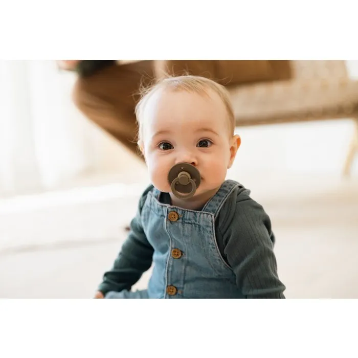 Bibs Sucette bébé Colour Embout rond Taille 2 Ivory Dark Oak - Pack de 2 Bibs Sucette bébé Colour Embout rond Taille 2 Ivory Dark Oak - Pack de 2