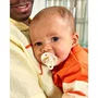 Bibs Sucette bébé Colour Embout rond Taille 2 Ivory Dark Oak - Pack de 2