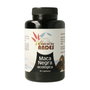 El Oro de los Andes Maca Negra ECO 700mg 90 capsules