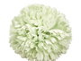 Ibergarden Vara Ramo 5 Pompons Vert 57x20x20 cm Plastique Décoration (Set de 12)