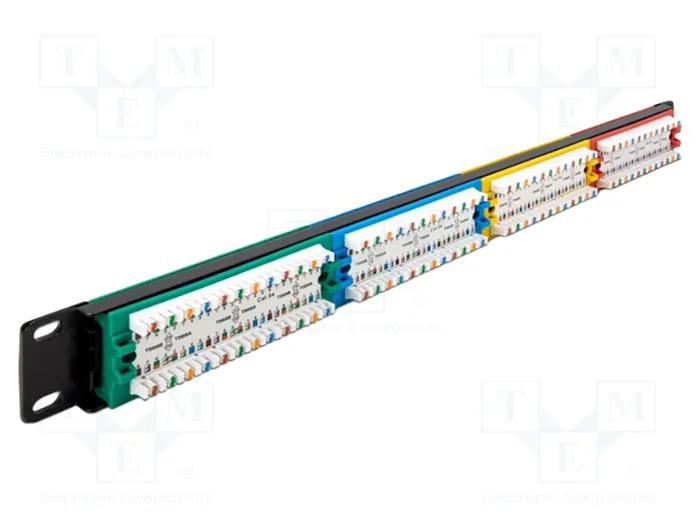 DELOCK Panneau de brassage Cat 5e 24 ports RJ45 1U 19 pouces