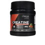 Drasanvi Sport Live Créatine 200Mesh Pastèque 300 g