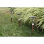 BigBuy Home Lot de 3 balises solaires Canopo Beige