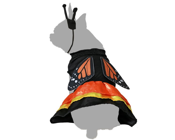 Déguisement pour chien papillon orange taille M en polyester - Pour animaux de compagnie