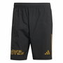 Short de Sport Adidas Tiro Downtime Pride Noir