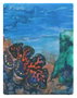 Ultimate Guard RTE Boulder 100+ Coral Places - Seablue Hush