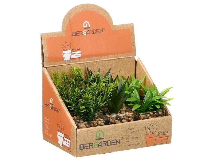 Ibergarden Maceta en verre 7x11x7cm avec plantes assorties - Matériaux verre, plastique et pierre (Set de 24) Ibergarden Maceta en verre 7x11x7cm avec plantes assorties - Matériaux verre, plastique et pierre (Set de 24)