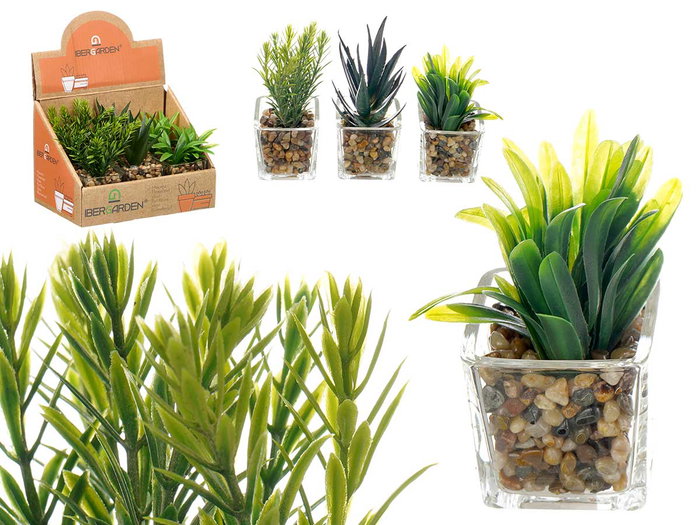 Ibergarden Maceta en verre 7x11x7cm avec plantes assorties - Matériaux verre, plastique et pierre (Set de 24) Ibergarden Maceta en verre 7x11x7cm avec plantes assorties - Matériaux verre, plastique et pierre (Set de 24)