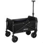 Color Baby Aktive-Carro Chariot de transport Plage/Camping 58X35X86Cm