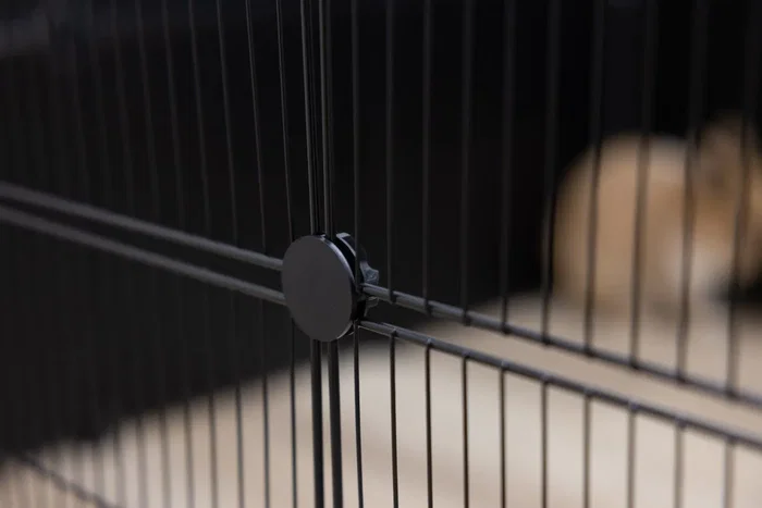 Kerbl - Kit d'enclos modulable Hopsi - 12 grilles 35x35 cm avec raccords - Usage intérieur/extérieur pour animaux et plantes