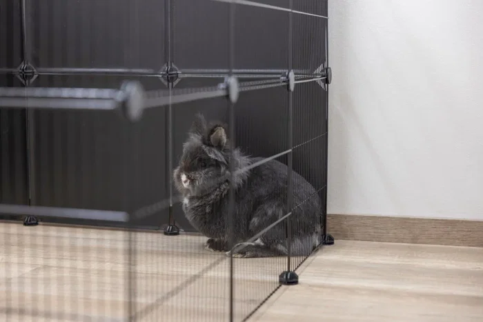 Kerbl - Kit d'enclos modulable Hopsi - 12 grilles 35x35 cm avec raccords - Usage intérieur/extérieur pour animaux et plantes