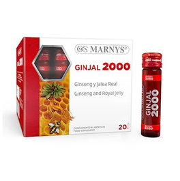 MARNYS Ginjal 2000, 20 ampoules de 10 ml