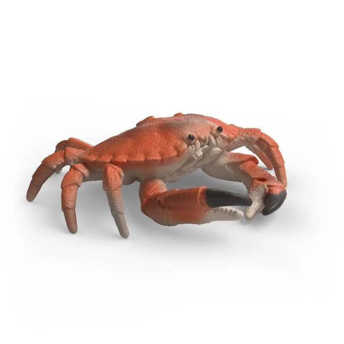 Schleich Set de figurines Animaux Marins Wild Life - 4 pièces Schleich Set de figurines Animaux Marins Wild Life - 4 pièces