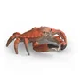 Schleich Set de figurines Animaux Marins Wild Life - 4 pièces