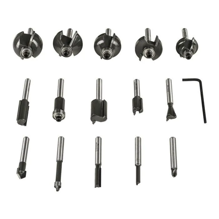 Ryobi Coffret de 15 Fraises Panachées Queue Diamètre 6 mm, RAKRBS15 - Compatible avec les Défonceuses R18TR-0, RRT1600 et ERT1400RV