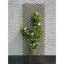 Nature Treillis Extensible en Osier FSC Naturel 60 x 180 cm - Décoration Murale et Support pour Plantes Grimpantes
