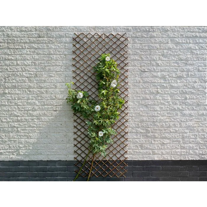 Nature Treillis Extensible en Osier FSC Naturel 60 x 180 cm - Décoration Murale et Support pour Plantes Grimpantes