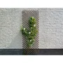 Nature Treillis Extensible en Osier FSC Naturel 60 x 180 cm - Décoration Murale et Support pour Plantes Grimpantes