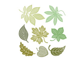 Misskuty Set de 8 emporte-pièces fins ZAG Fleurs, Plantes et Feuilles d'Automne