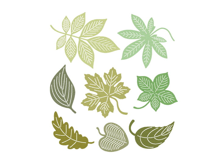 Misskuty Set de 8 emporte-pièces fins ZAG Fleurs, Plantes et Feuilles d'Automne Misskuty Set de 8 emporte-pièces fins ZAG Fleurs, Plantes et Feuilles d'Automne