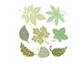 Misskuty Set de 8 emporte-pièces fins ZAG Fleurs, Plantes et Feuilles d'Automne