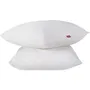 Abeil Lot de 2 oreillers Douceur Blanc 60 x 60 cm - Certifiés Oeko-Tex - Oreiller de qualité pour sommeil sain